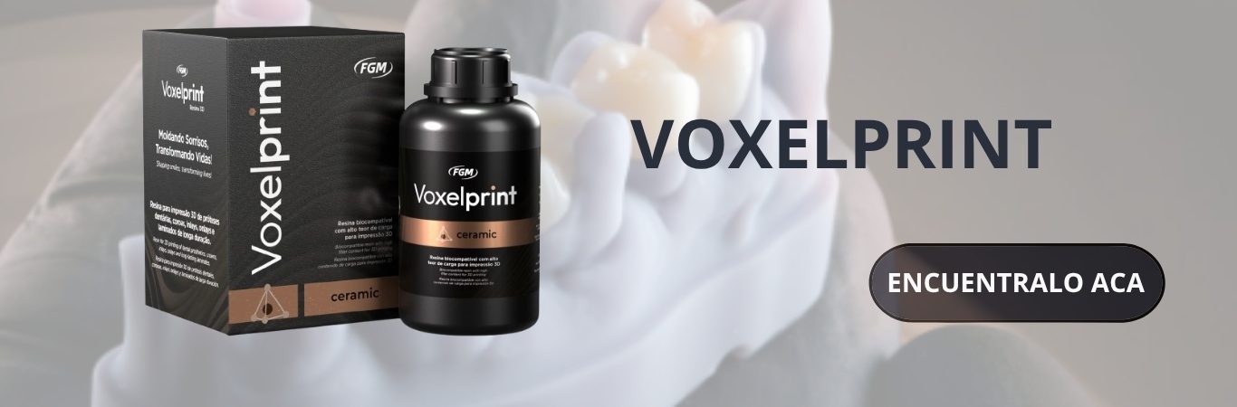 VOXELPRINT2