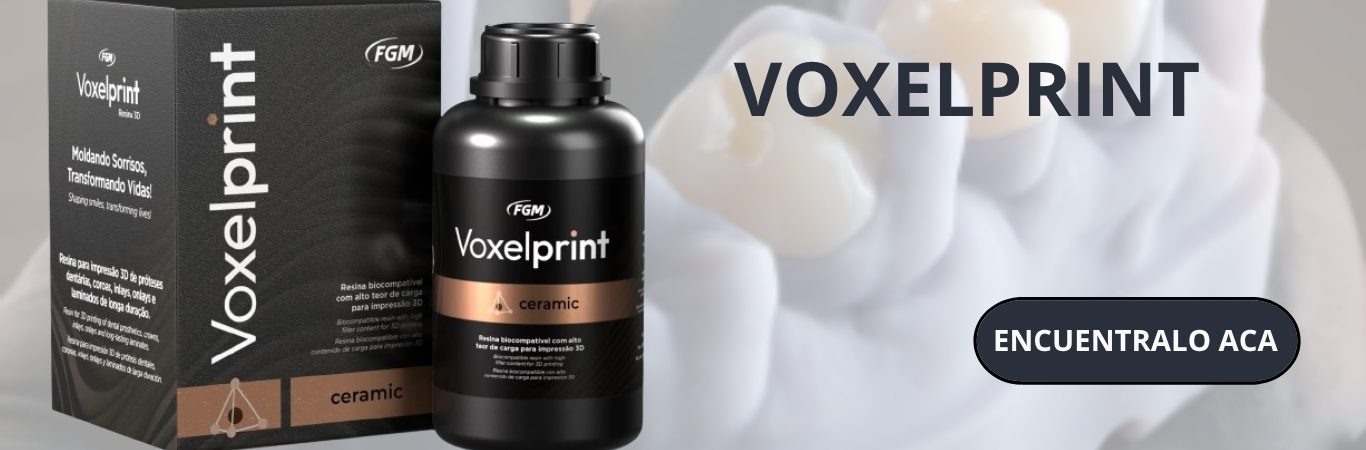 voxelprint 1